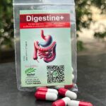 WhatsApp Image 2025-09-18 at 3.09.13 PM